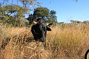 img_13906.jpg