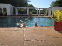 simg_07960.jpg