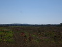 simg_08414.jpg