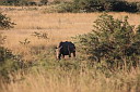 timg_11900.jpg