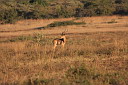 timg_12106.jpg