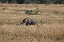 timg_12464.jpg