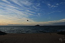 img_16431.jpg