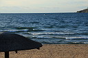 img_16541.jpg
