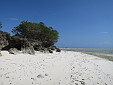 simg_10066.jpg