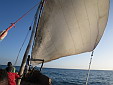 simg_10117.jpg