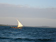 simg_10139.jpg