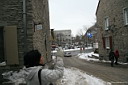 img_3184.jpg