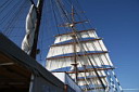 img_5007.jpg