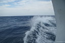 img_5721.jpg