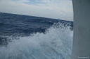 img_5728.jpg