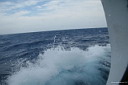 img_5736.jpg