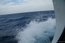 img_5737.jpg