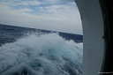 img_5742.jpg