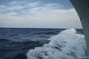 img_5753.jpg