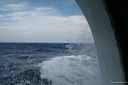 img_5758.jpg