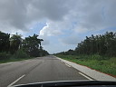 img_2667.jpg
