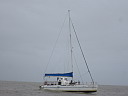 img_2954.jpg
