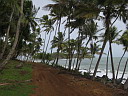 img_3033.jpg