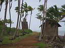 img_3181.jpg