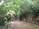 img_3331.jpg
