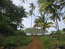 img_3482.jpg