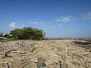 img_3642.jpg