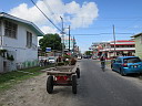 img_4566.jpg