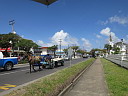 img_4667.jpg