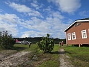img_5048.jpg