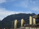 img_5338.jpg