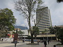 img_5517.jpg