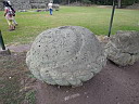 img_8548.jpg