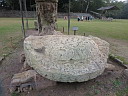 img_8554.jpg