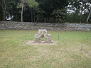 img_8561.jpg