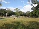 img_8574.jpg
