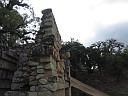img_8583.jpg