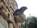 img_8585.jpg