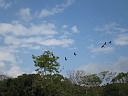 img_8588.jpg
