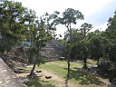 img_8615.jpg