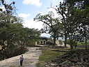 img_8617.jpg