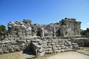 1img_4119.jpg