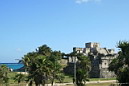 1img_4295.jpg