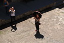 img_2315.jpg