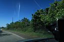 img_2481.jpg