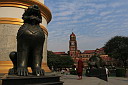 1-img_6330.jpg