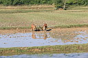 1-img_6534.jpg