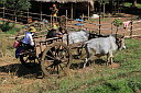 1-img_6571.jpg