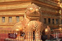 1-img_7428.jpg