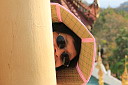 1-img_8806.jpg